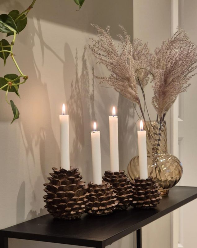 Adventsstake kongle