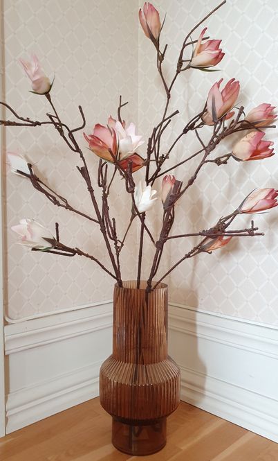 Hovedbilde Kvist magnolia lys rosa 