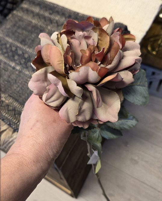 Hovedbilde Rose gyllen burgunder