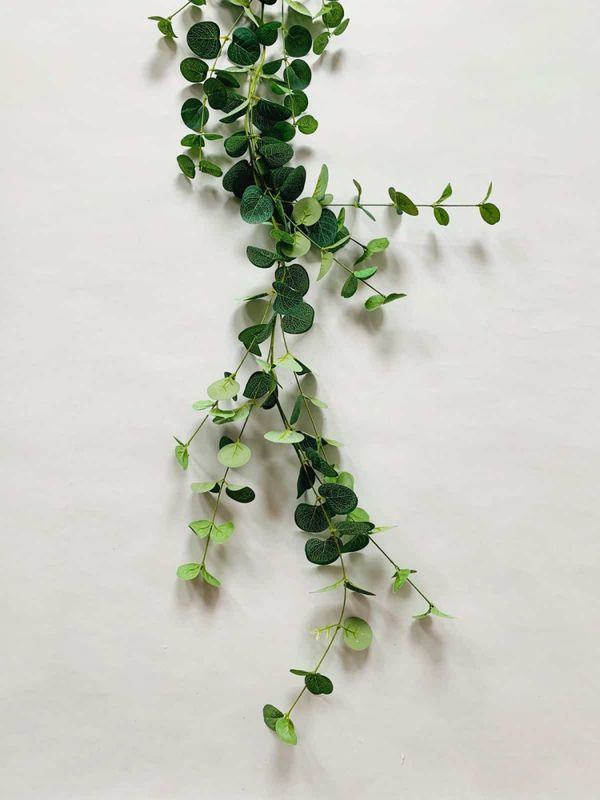 Girlander Eucalyptus