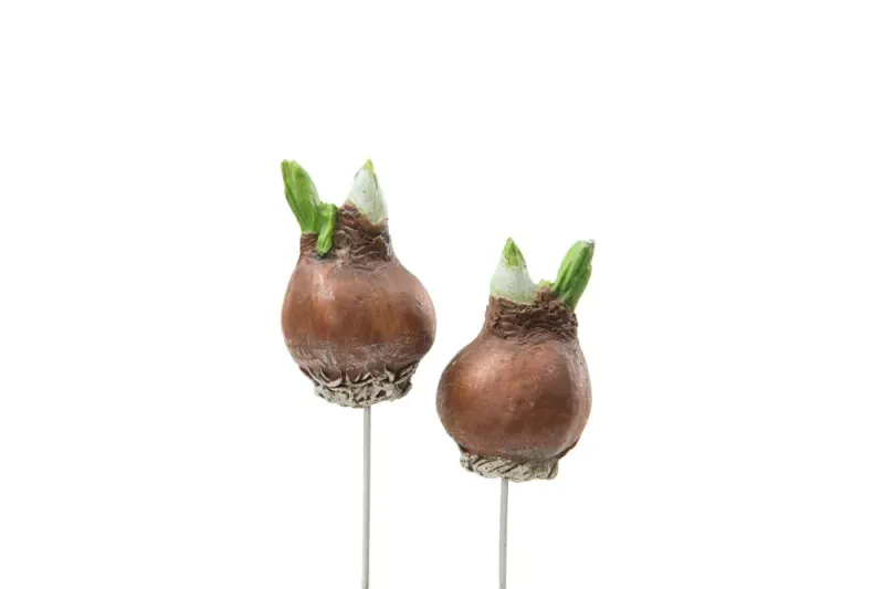 Blomsterløk 6cm