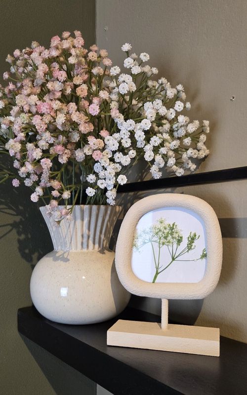 Gypsophila - Brudeslør rosa